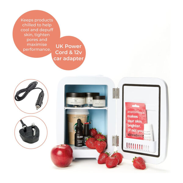 Stylpro Beauty Fridge - Rose Gold